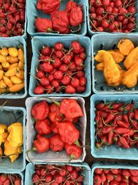 High angle view of hot peppers for sale at farmers market