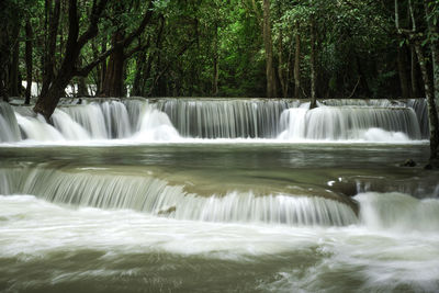 Scenic view of waterfall in forest