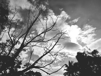 Low angle view of silhouette tree against sky