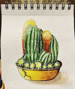 Close-up of cactus growing on potted plant against wall