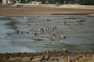 High angle view of people on beach