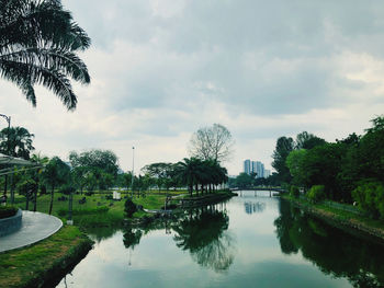 Reflection of trees in swimming pool against sky