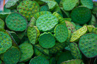 Full frame shot of fruits