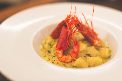 Close-up of meal served in plate