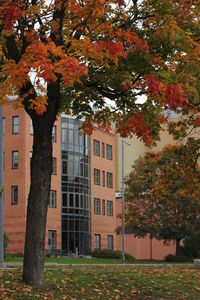 Built structure with trees in background