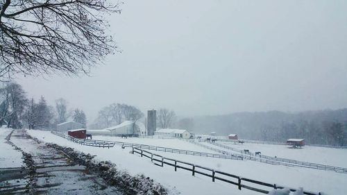 Snow covered trees in winter