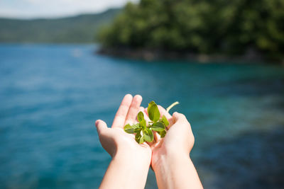 Cropped image of person holding herbs against lagoon