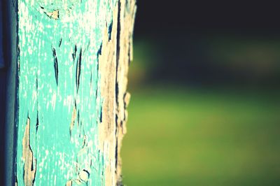 Close up of wood against blurred background