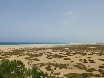 Scenic view of beach against sky