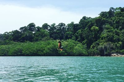 Man jumping in river against trees