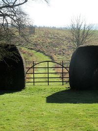 Close-up of shadow on grass