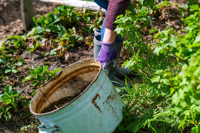 Low section of person working on field