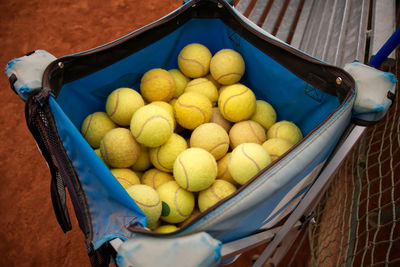 High angle view of potatoes in basket