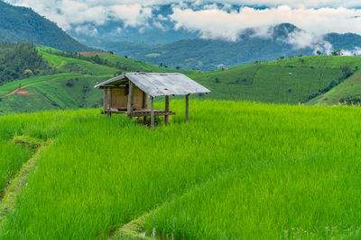 Scenic view of agricultural field by houses and mountains