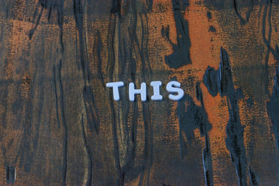 Close-up of text on tree trunk