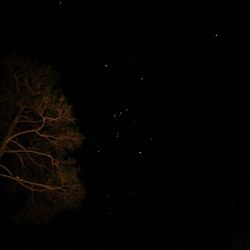 Low angle view of stars in sky