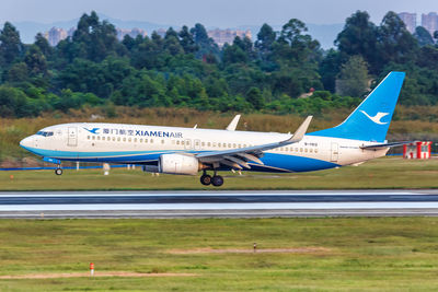 Airplane on airport runway against trees