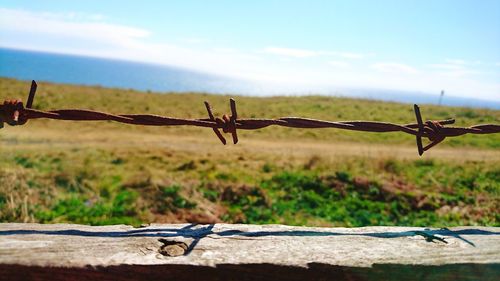 Close-up of barbed wire on field against sky