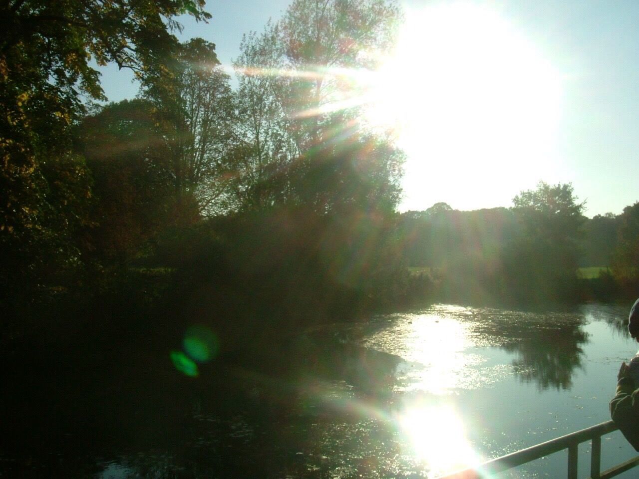 water, lens flare, sunbeam, sun, tree, sunlight, nature, reflection, scenics, day, outdoors, beauty in nature, sky, no people, wet, tranquility, solar flare, close-up