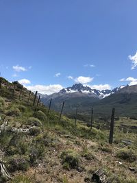 Scenic view of landscape against blue sky