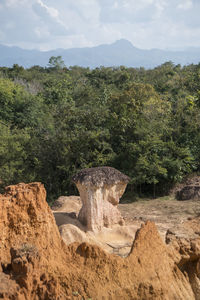 Scenic view of rocks in forest against sky