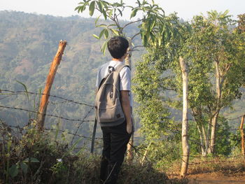 Rear view of man standing by trees