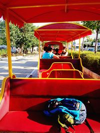 People sitting on tree stump