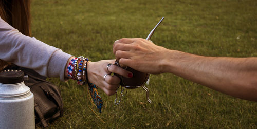 Cropped hand holding grass in field