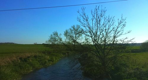 Scenic view of grassy field against blue sky