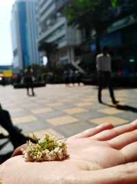 Person holding food on street in city