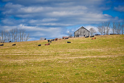 Houses on field against sky