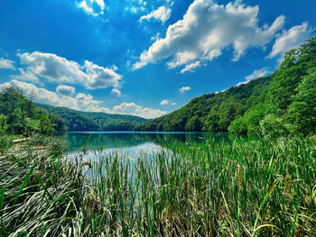 nature