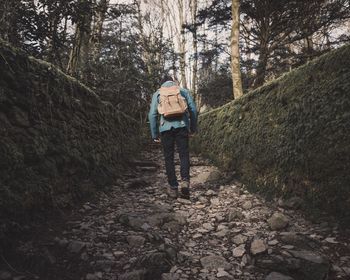 Rear view of man walking in forest