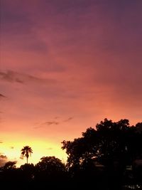 Low angle view of silhouette trees against dramatic sky