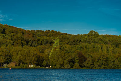 Scenic view of trees against blue sky