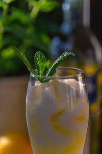 Close-up of drink on table