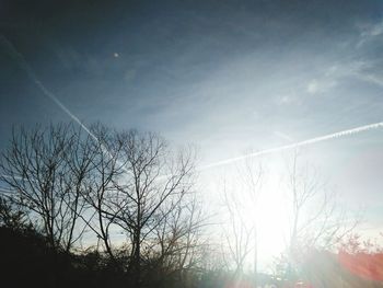 Low angle view of silhouette trees against sky