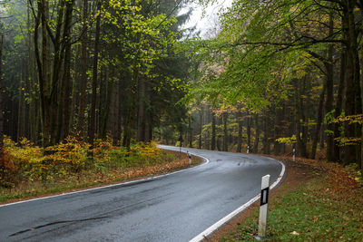 Empty road amidst trees in forest