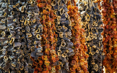 Dried vegetables hanging vertical in istanbul egyptian  spice bazaar 