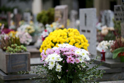 Close-up of yellow flowers on market