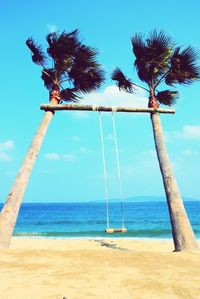 Low angle view of bird perching on beach against clear sky