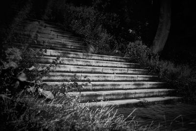 Low angle view of steps amidst trees at night