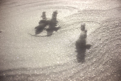 Shadow of people on road in winter