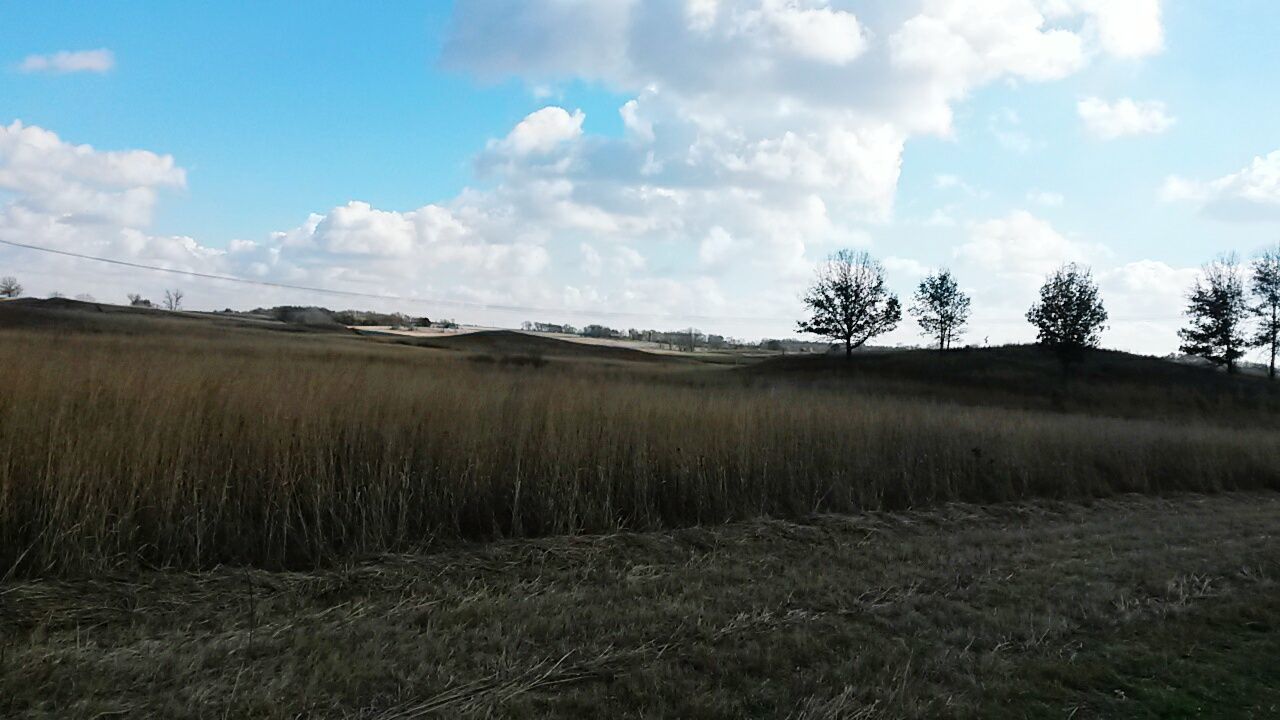 TREES ON FIELD AGAINST CLOUDY SKY