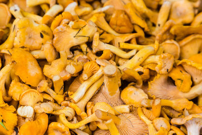 Full frame shot of mushrooms for sale in market
