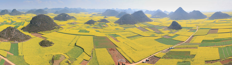 Panoramic of oilseed rape farms against sky