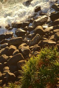 Scenic view of rocky beach
