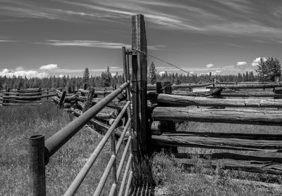 View of tree against sky