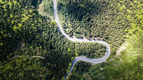 Aerial view of road amidst forest