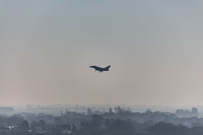 Silhouette bird flying over the sky